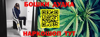 apvp Гатчина