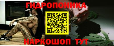 apvp Гатчина