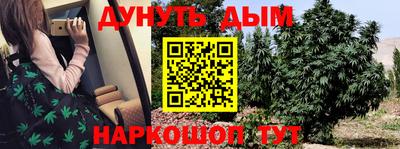 apvp Гатчина