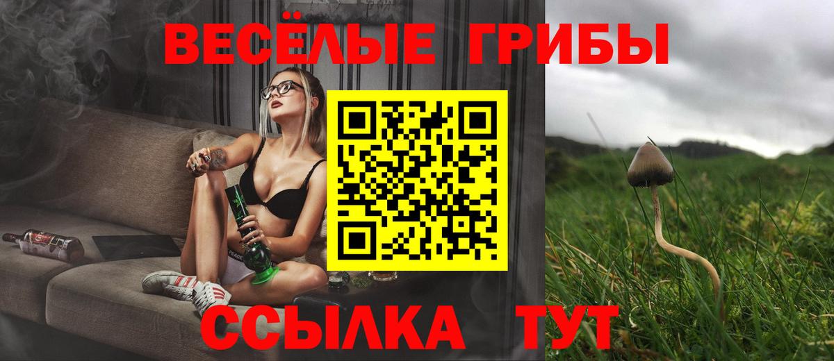 Галлюциногенные грибы Psilocybe  Вход с VPN  Псилоцибиновые грибы Magic Shrooms  Домодедово 